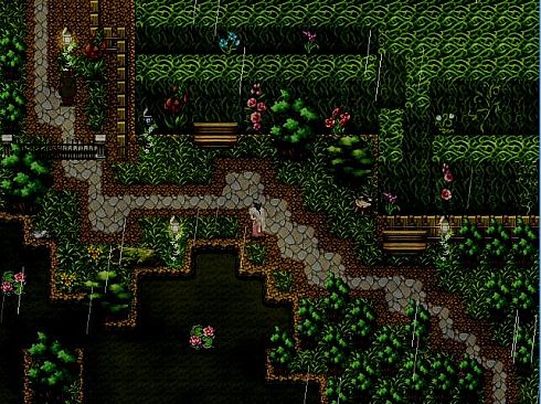 The Frosty Leaves 寒叶下的薄冰