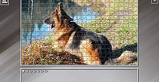 Super Jigsaw Puzzle: Generations - Dogs 3