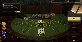 Casino School