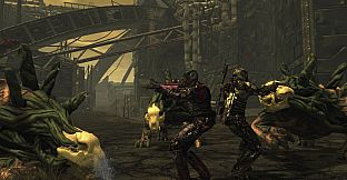 Fallen Earth Classic