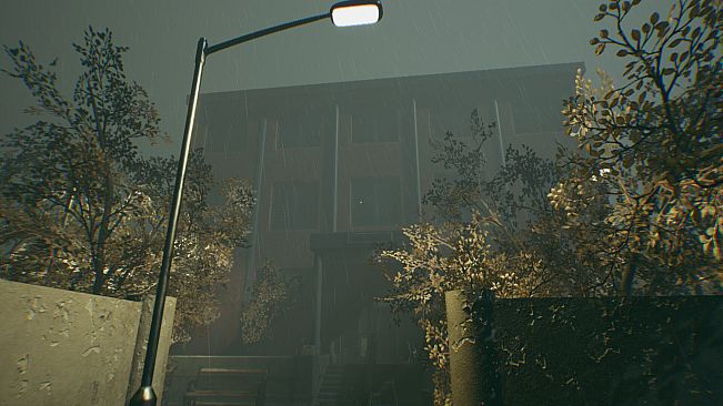 Aylin: The Story of Tom