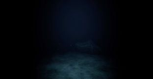 Project Into the Void