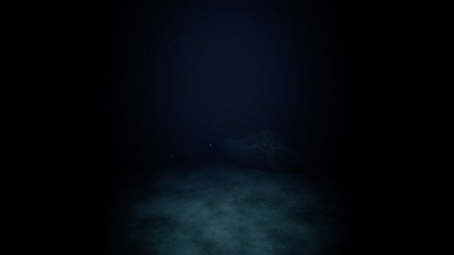 Project Into the Void