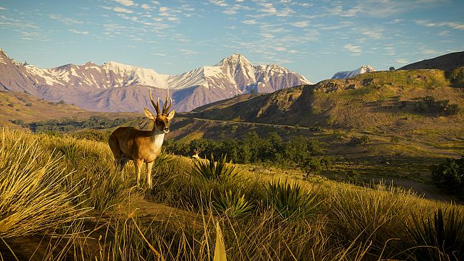theHunter: Call of the Wild - Peru Hunting Reserve
