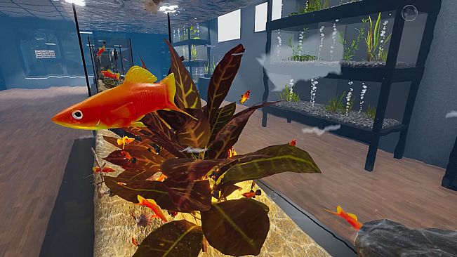 Aquarist - American Fish DLC