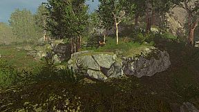 Trials of Wilderness