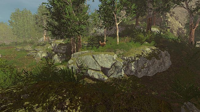 Trials of Wilderness