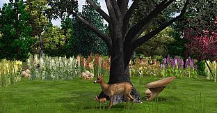 Wildlife Park 2 - Kitz (fawn)