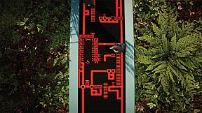 The Forest Cathedral