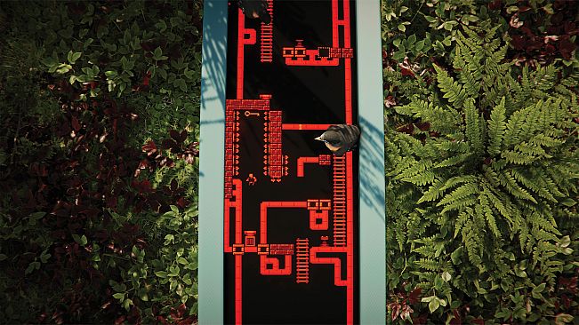 The Forest Cathedral