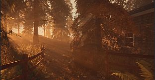 Dark Memories: Investigation