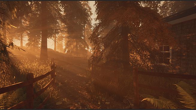 Dark Memories: Investigation