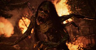 The Twilight Project