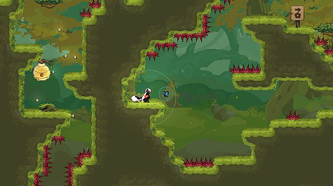 The Friendliest Skunk