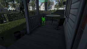 James Town Courier Frog MD