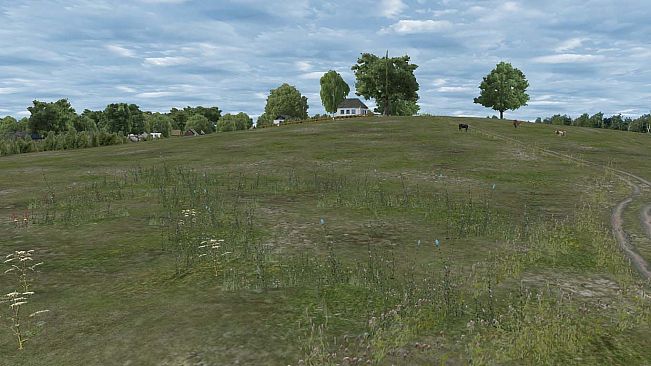 OMSI 2 Add-on Enhanced Environment Pack
