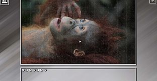 Super Jigsaw Puzzle: Generations - Monkeys & Apes Puzzles