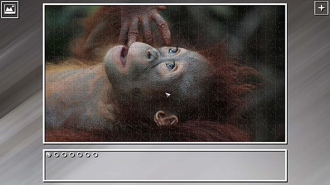 Super Jigsaw Puzzle: Generations - Monkeys & Apes Puzzles