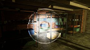 What Happened to Lily?