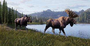 Way of the Hunter 2
