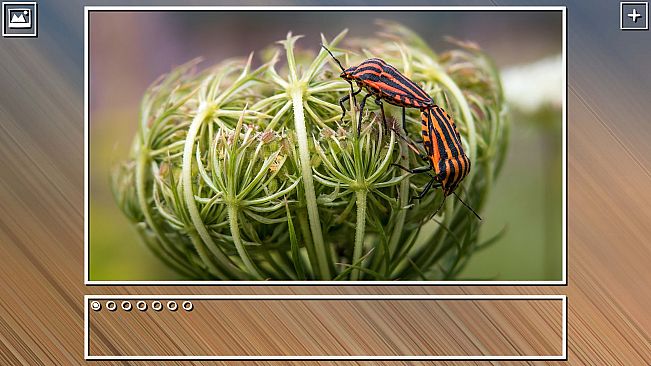 Super Jigsaw Puzzle: Generations - Bugs Puzzles