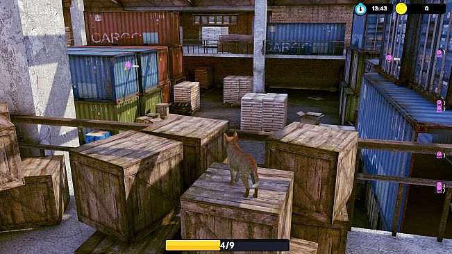 Little Strays - Beyond Havana