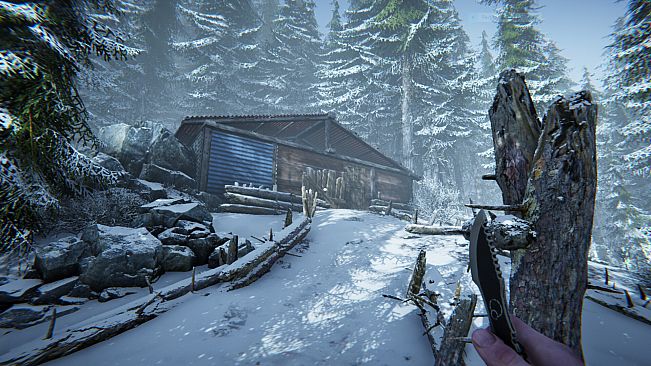 Silence In The Cabin