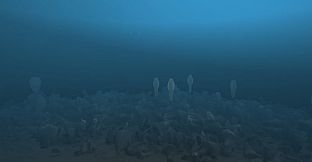 Dry Visit - Virtual Underwater Visit - iMARECulture