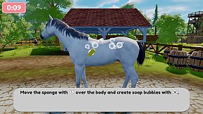 Sophia’s Animal Clinic - Mission Wildlife Park