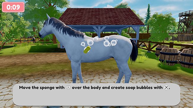 Sophia’s Animal Clinic - Mission Wildlife Park