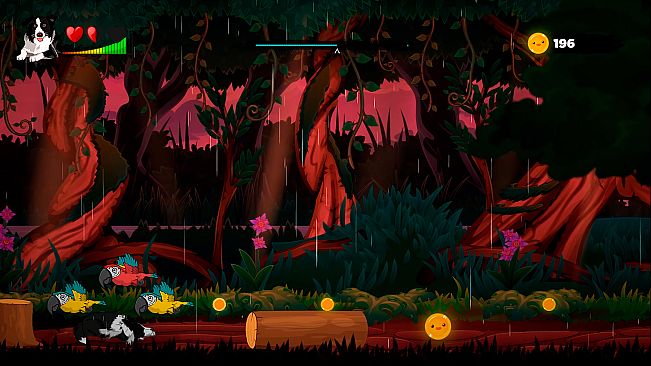 SHADE A Dog's Expedition