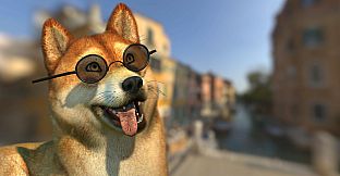 Animaze Pro 2024 - Lifetime License