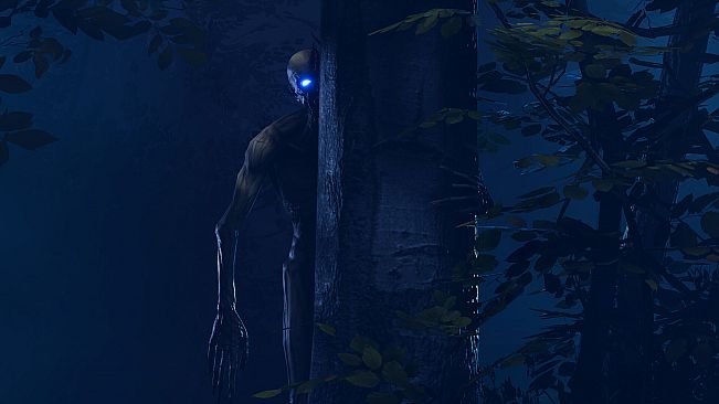 Sign of Silence: 99 Nights