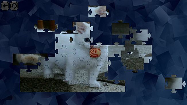 Puzzles for smart: Cats