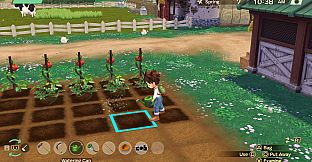 Story of Seasons : A Wonderful life