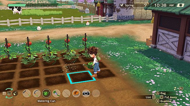 Story of Seasons : A Wonderful life