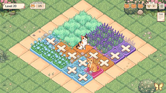 Purr in Bloom