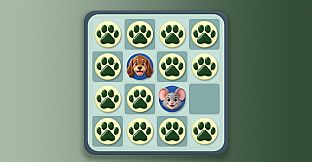 Board Kingdom