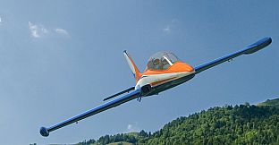 RealFlight Evolution - 2023 Year Content Pass