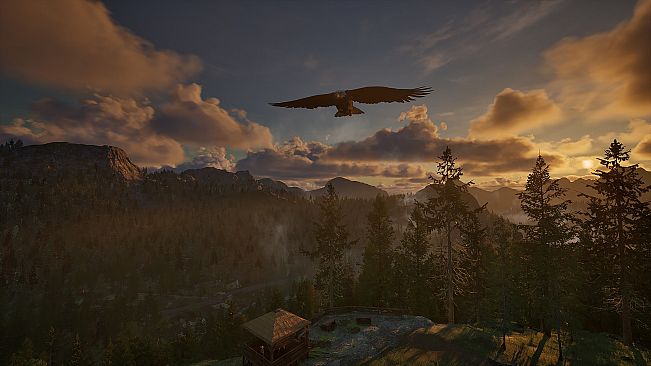 Ranger's Path: National Park Simulator
