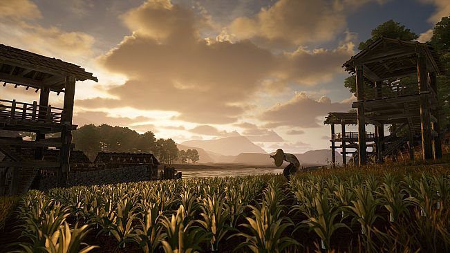 Medieval & Sengoku Dynasty Bundle