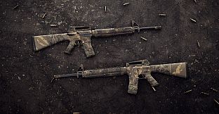 Insurgency: Sandstorm - Endurance Weapon Skin Set