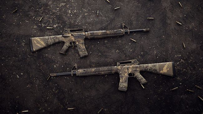 Insurgency: Sandstorm - Endurance Weapon Skin Set