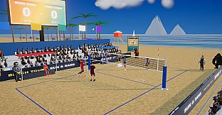 Volleyball Mania