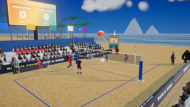 Volleyball Mania