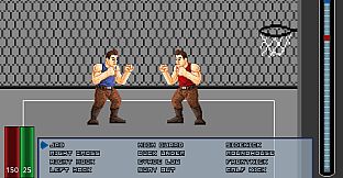 Bainok: City of Fighters