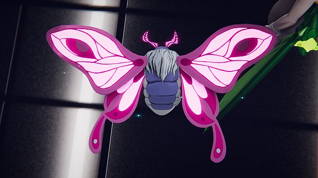 League of Maidens Haydee Edition