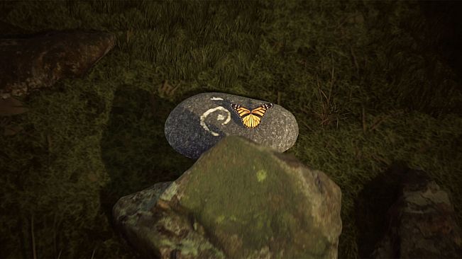 FIRE The First Dreamer