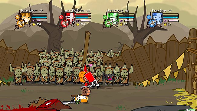 Castle Crashers