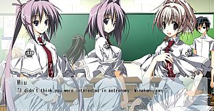 Wonderful Everyday Down the Rabbit-Hole